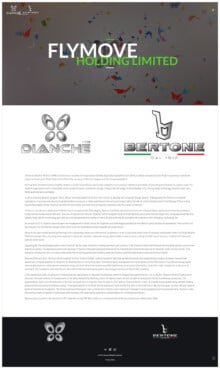 Flymove-Dianche--about-flymove