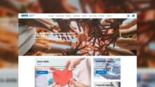 avis-veneto-homepage