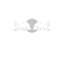 logo-redbul-quadratol-new