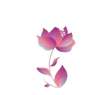 my-girls-gynae-logo
